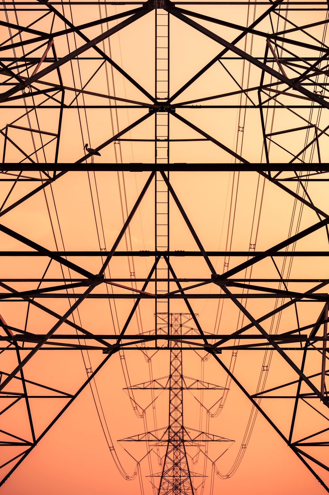 HV transmission tower